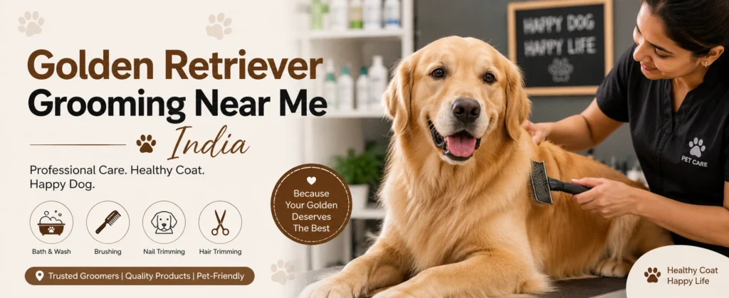 Golden Retriever Grooming Near Me India
