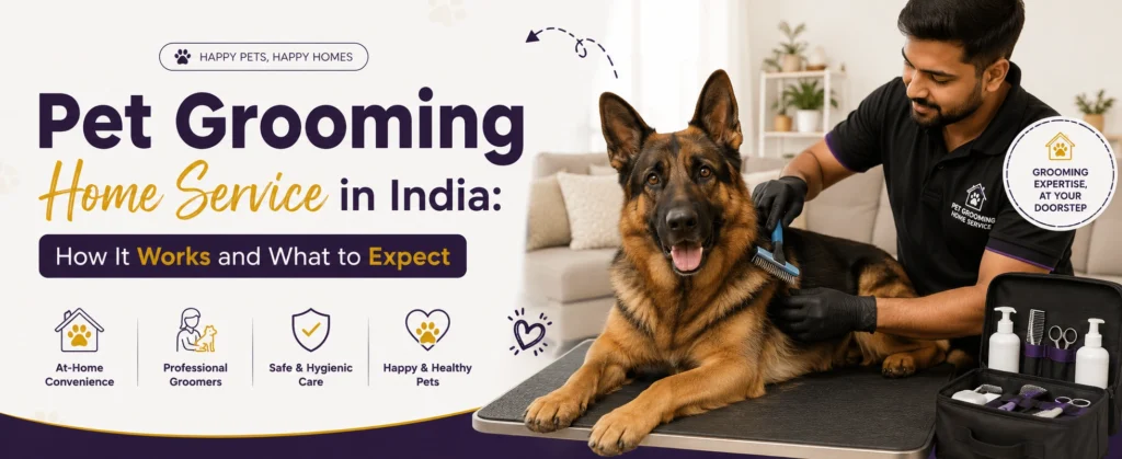 Pet Grooming Home Service in India