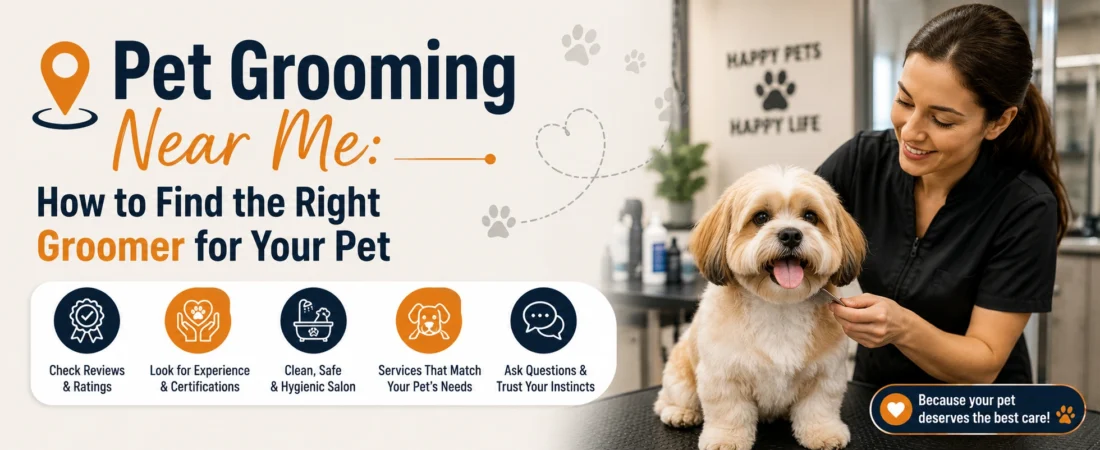 Pet Grooming Near Me: How to Find the Right Groomer for Your Pet